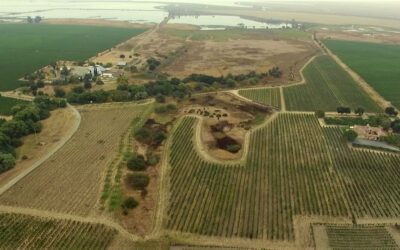 Huichica Creek Vineyard LandSmart Plan