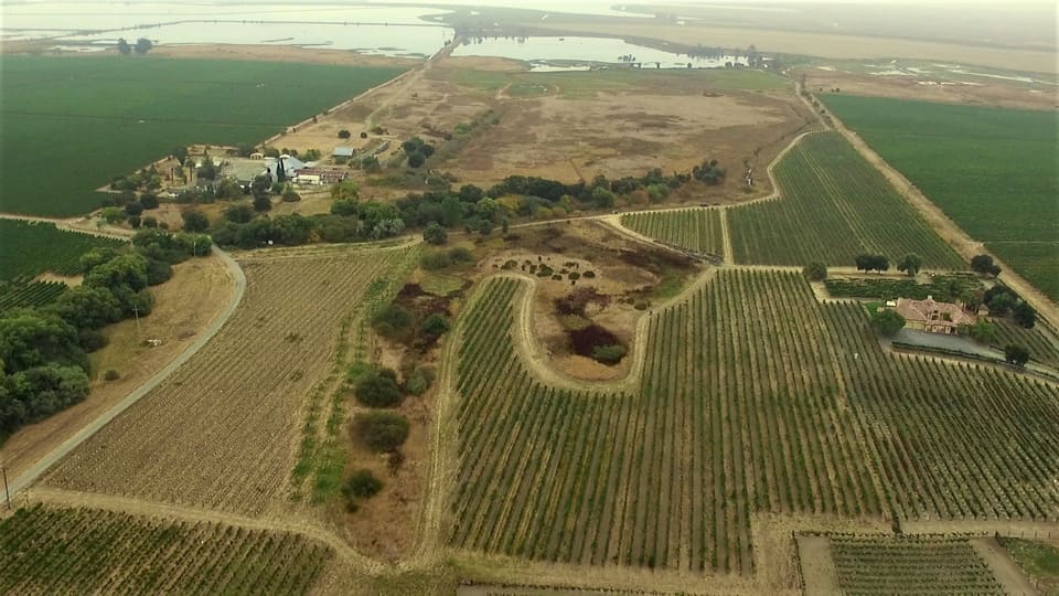 vineyard aerial photo