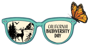 Biodiversity-Day-2021-Logo-1038x576-1-300x166