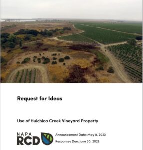Image of vineyard, and title Request for Ideas, Huichica Creek Vineyard