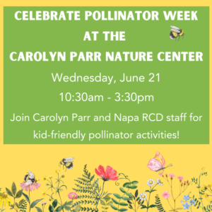 Celebrating Pollinator Week 2023 - Napa County RCD