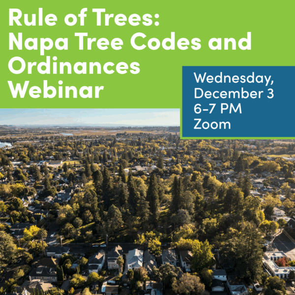 Webinar invitation for tree codes and ordinances workshop on Dec 3, 2025 - photo overlooking city of napa