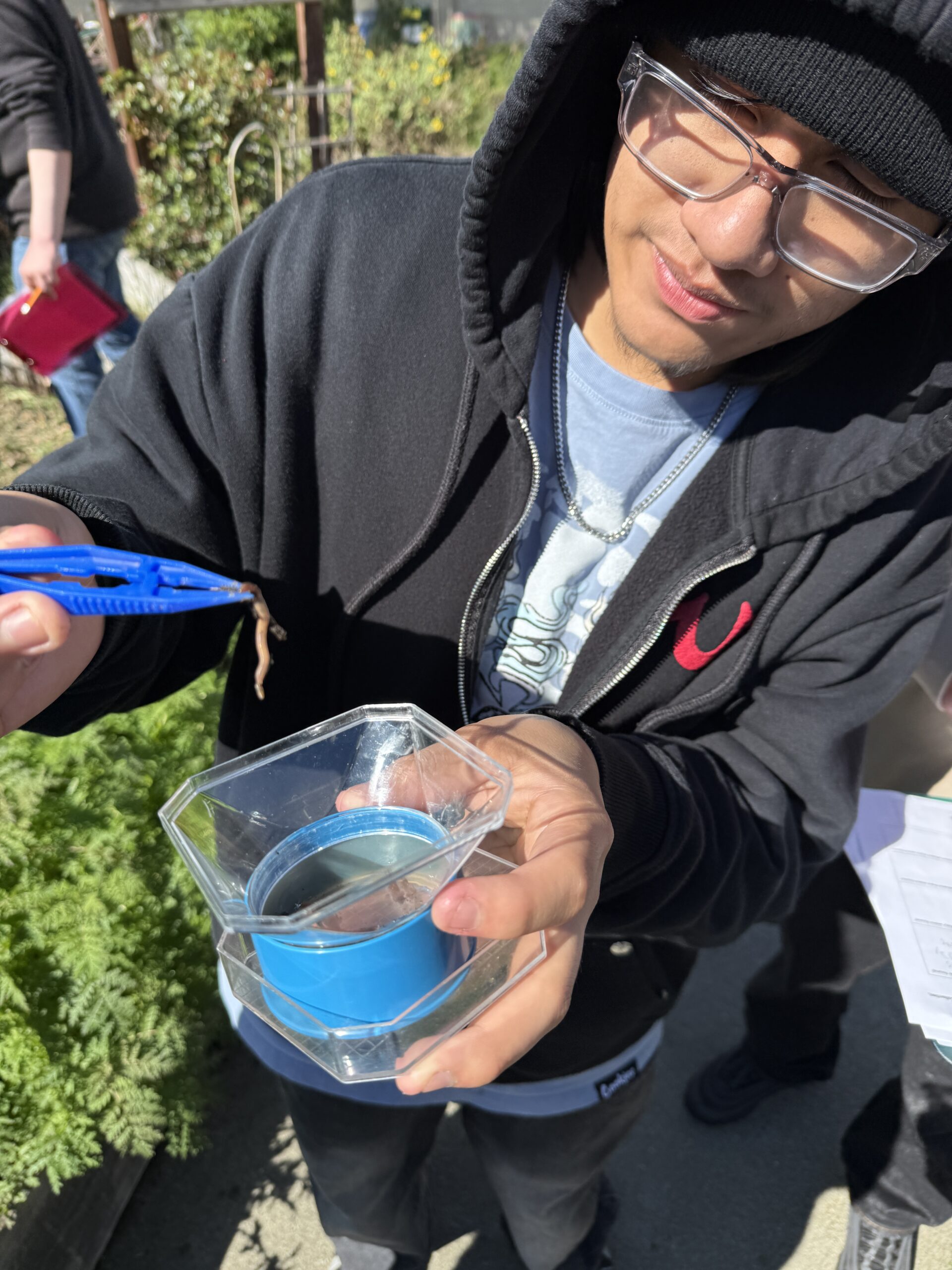 Student using plastic tweezers to move an earth worm into a bug viewer.