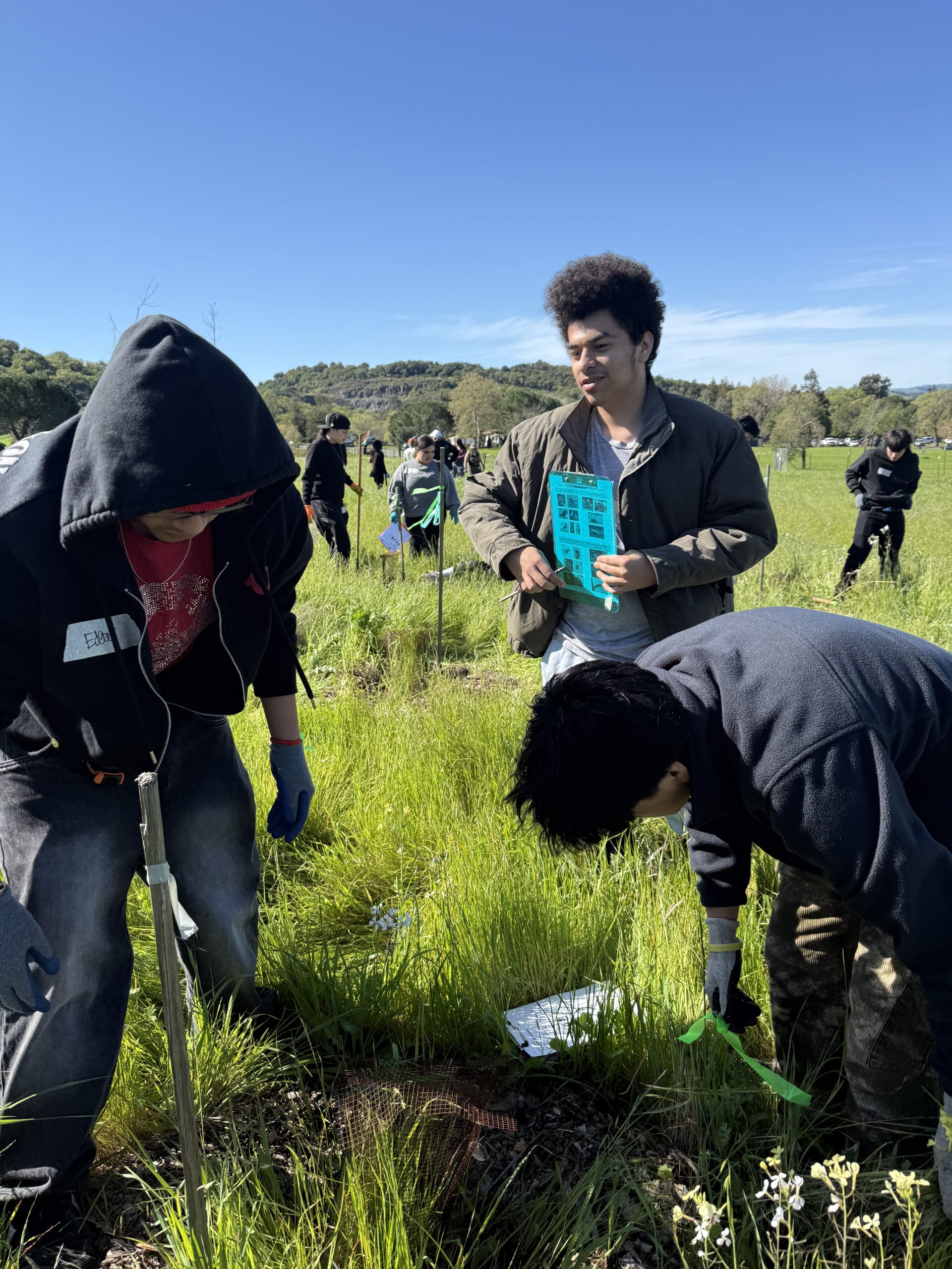 Students standing in a grassy field conducting data collection.
