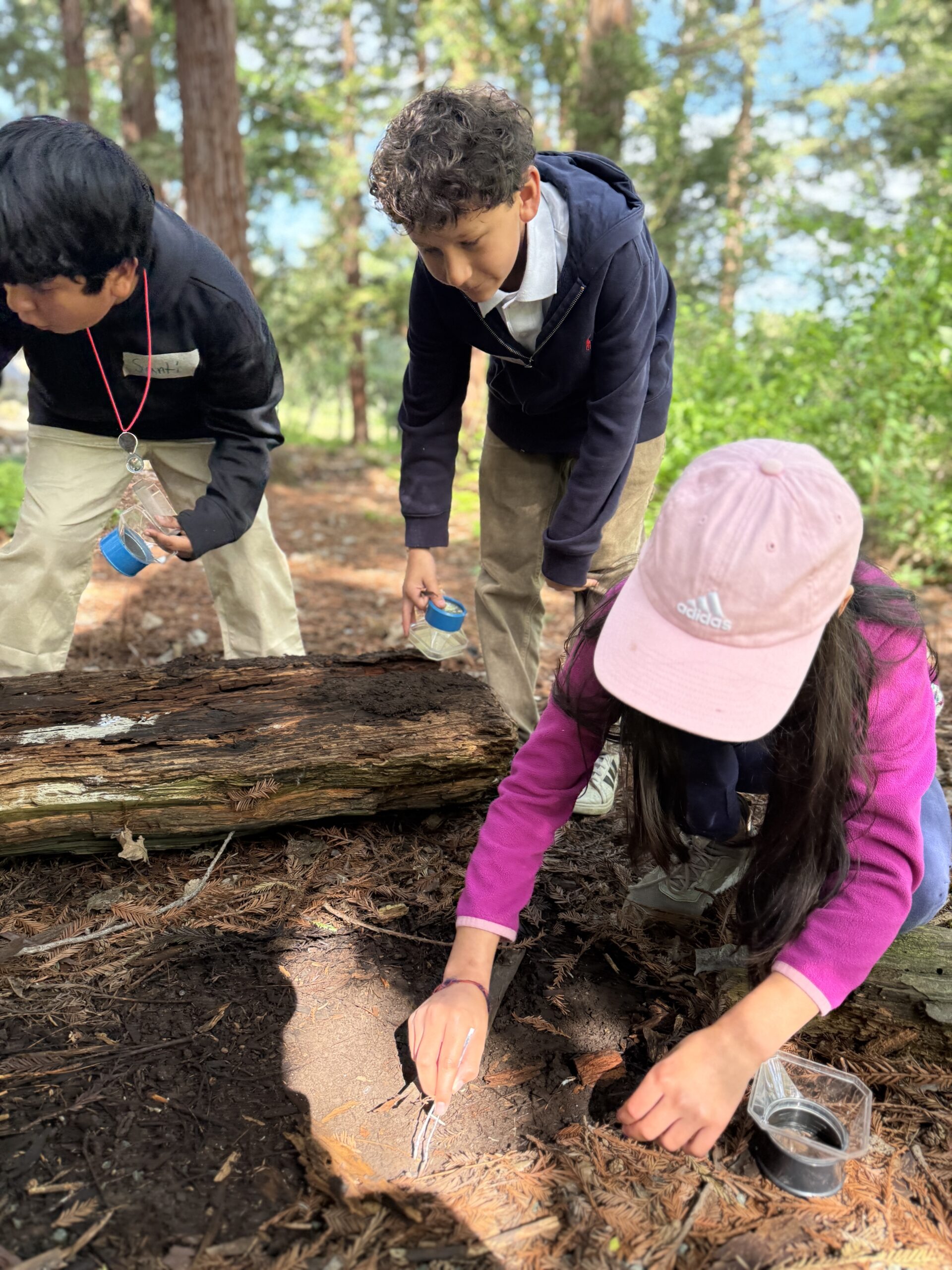 Student using plastic tweezers to move an earth worm into a bug viewer.
